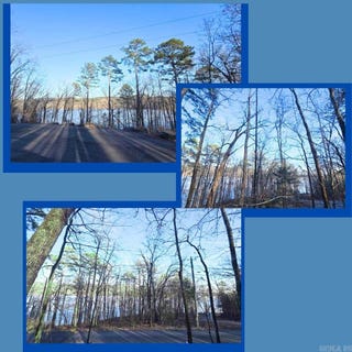 /international/us/lower-ridge-circle-lot-66-edgemont-ar-110106616347/