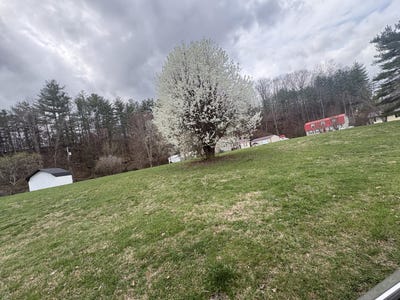 /international/us/stephen-trace-road-lot-33-barbourville-ky-110106329857/