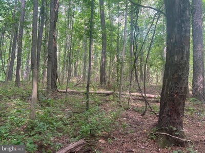 /international/us/0-thornton-gap-church-road-sperryville-va-110100469464/