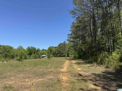 /international/us/satterwhite-street-lot-11-75-acres-roanoke-al-110108609936/