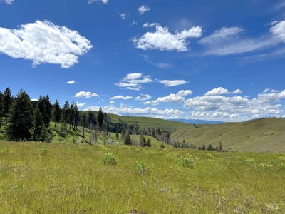 /international/us/255-ac-fall-creek-rd-council-id-110097998223/?lang=en