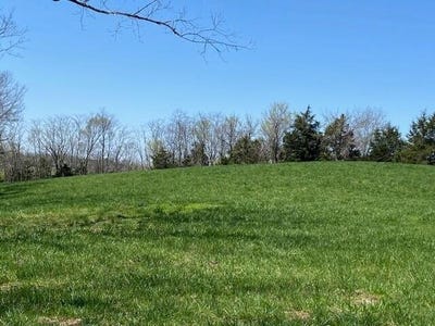 /international/us/715-hidden-acres-mt-olivet-ky-110100796865/