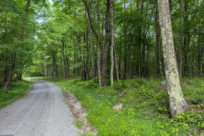 /international/us/camp-mountaineer-road-morgantown-wv-110108960646/