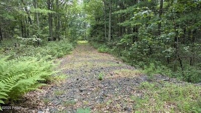 /international/us/skyline-drive-lot-54-milford-pa-110120044602/