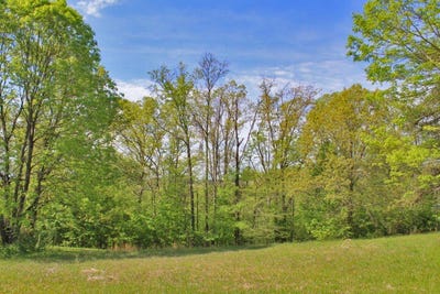 /international/us/130-lake-crest-drive-somerset-ky-110070568148/