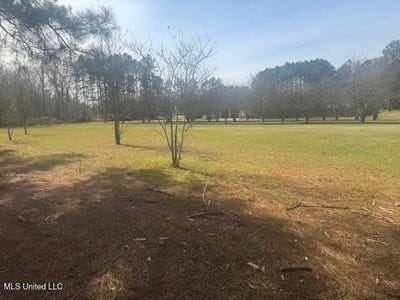 /international/us/club-drive-natchez-ms-110102011831/