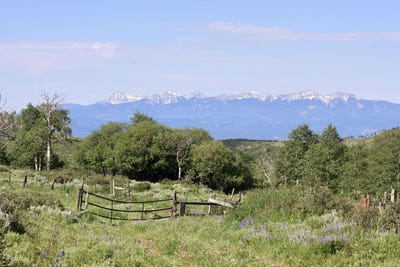/international/us/ms-road-glade-park-co-110108626563/