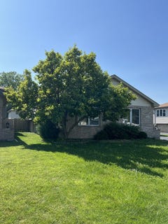/international/us/markham-il-110108424199/