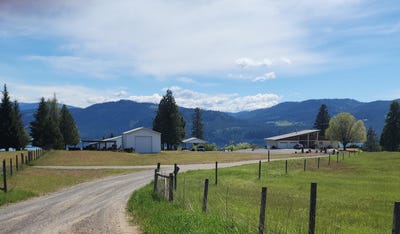 /international/us/42-harter-way-kettle-falls-wa-110097647358/