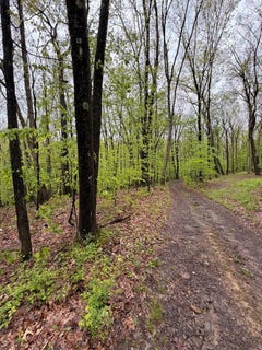 /international/us/318-upper-lease-road-west-hickory-pa-110108267650/