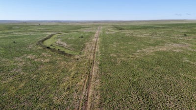 /international/us/county-road-166-deer-trail-co-110105973187/