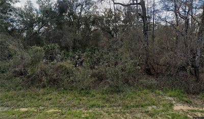 /international/us/7355-n-canal-st-webster-fl-110086522616/