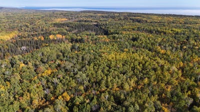 /international/us/4603-north-road-hovland-mn-110110378540/