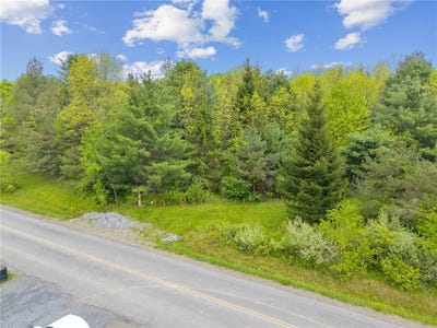 /international/us/lot-7c-blackman-hill-road-caroline-ny-110097936616/?lang=zh-cn
