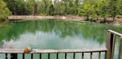 /international/us/128-acres-in-palmetto-palmetto-la-110107456428/