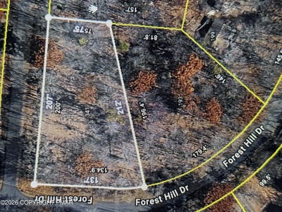 /international/us/341-birch-drive-blakeslee-pa-110107172249/