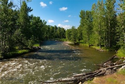 /international/us/2825-2830-highway-78-s-absarokee-mt-110104121660/