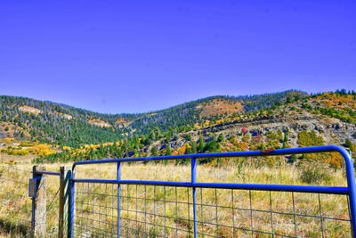 /international/us/chacontr3-creek-b008-mora-nm-110095427363/