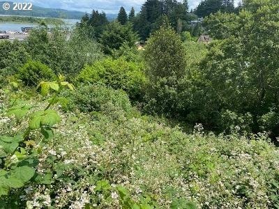 /international/us/9th-st-coosbay-or-110077865128/