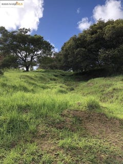 /international/us/san-rafael-ca-110100926892/