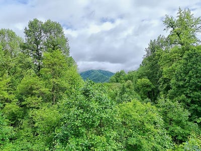 /international/us/l2-georgianna-lane-bryson-city-nc-110101246066/