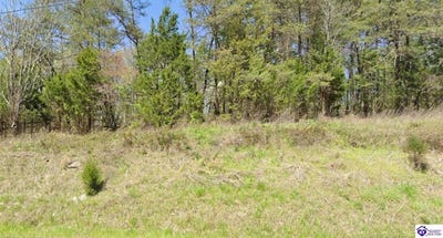 /international/us/0-23-ac-brier-creek-road-mammoth-cave-ky-110105848307/