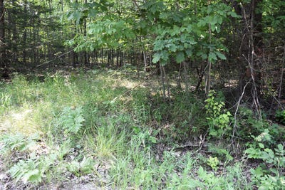 /international/us/1825-derby-road-indian-river-mi-110101434951/