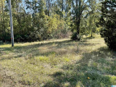 /international/us/2356-mitchellville-road-lincoln-al-110095338730/?lang=pt