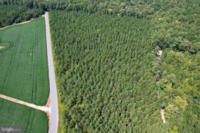 /international/us/0-lewis-moore-road-ruther-glen-va-110100202389/?lang=zh-tw