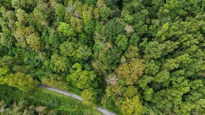 /international/us/1055-river-st-gassaway-wv-110110296676/