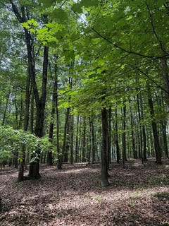 /international/us/00-stephens-lane-huntingdon-pa-110100584490/