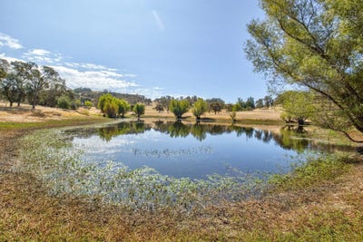 /international/us/5065-messing-road-burson-ca-110120109994/
