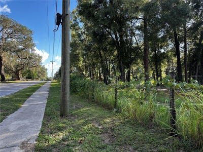 /international/us/418-n-pine-street-bronson-fl-110119924355/