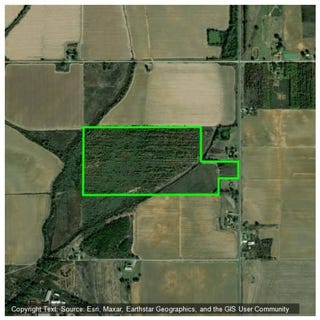 /international/us/0000-hwy-183-holly-ridge-la-110103008807/