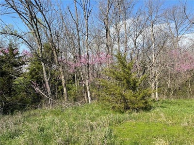 /international/us/e-235th-street-peculiar-mo-110104437147/