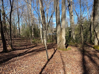 /international/us/collett-wood-cove-lot-4-18-andrews-nc-110097612437/