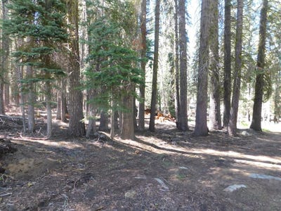 /international/us/kitch-trail-tamarack-ca-110100755675/
