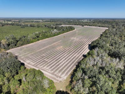 /international/us/5018-old-u-s-road-marianna-fl-110101450847/