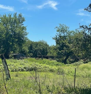 /international/us/918-s-ellis-street-groesbeck-tx-110101171395/?lang=en