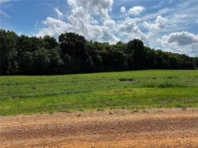 /international/us/xx-tbd-mellgren-lane-dahlgren-twp-mn-110100770620/