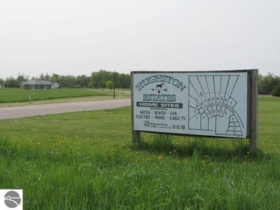 /international/us/lot-10-hemlock-street-mcbain-mi-110084674358/
