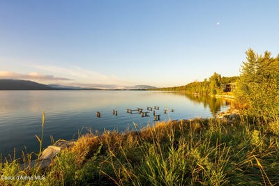/international/us/193-ponder-point-lane-west-lot-sandpoint-id-110098301960/