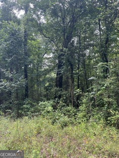 /international/us/894-forrester-cemetery-covington-ga-110094961818/?lang=zh-cn