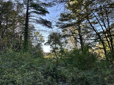 /international/us/5-prospect-mountain-road-salisbury-ct-110102707188/