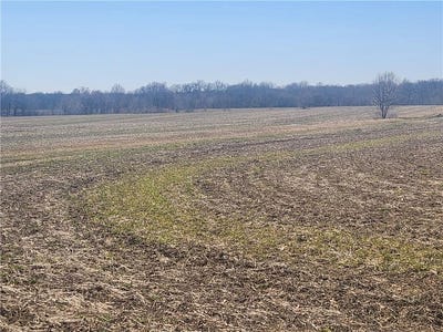 /international/us/lot-5-state-route-w-highway-drexel-mo-110093673645/?lang=zh-tw