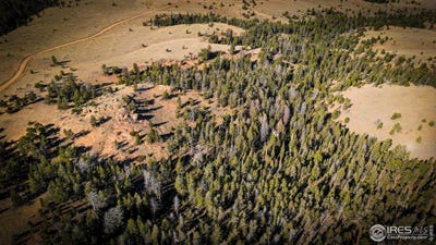 /international/us/wilderness-ranch-rd-red-feather-lakes-co-110103475180/