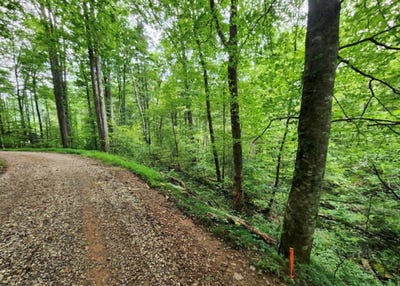 /international/us/2b-poplar-cove-suches-ga-110109136753/