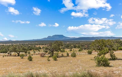 /international/us/88-old-stage-road-pie-town-nm-110100553224/