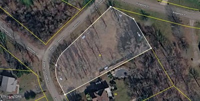 /international/us/438-casey-lane-strawberry-plains-tn-110120410412/