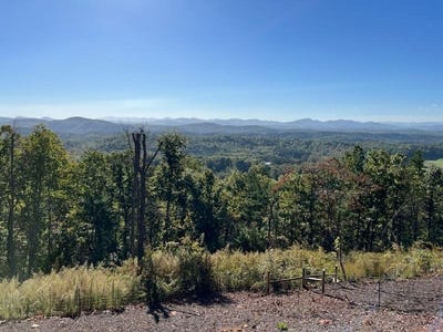 /international/us/piney-road-mineral-bluff-ga-110095147687/